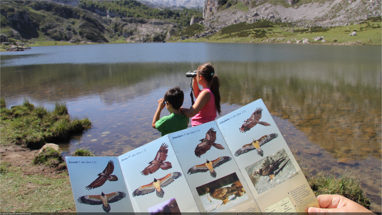 Una familia disfruta de una observación de quebrantahuesos en Picos de Europa | Alfonso Polvorinos