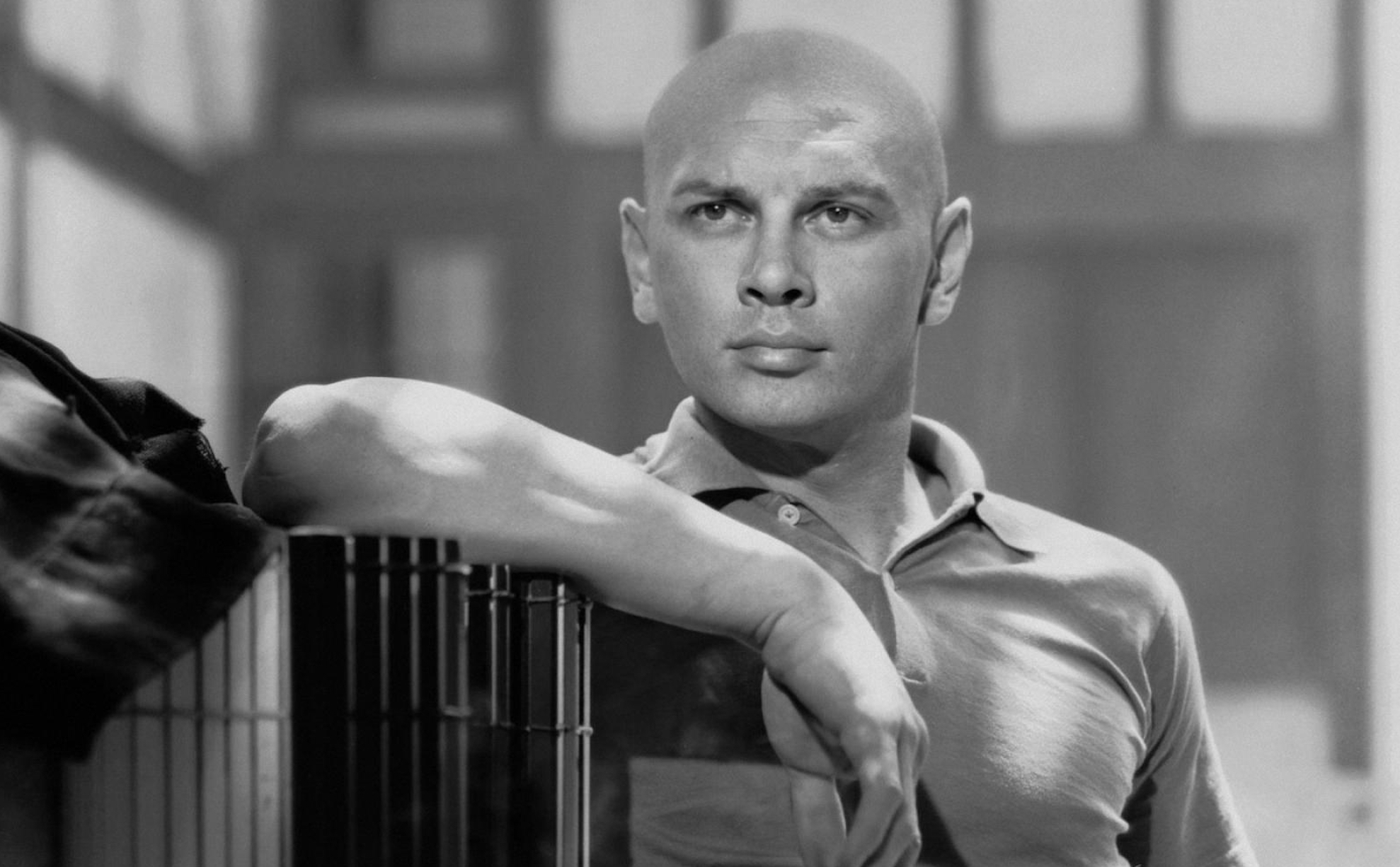 Yul Brynner, el hombre que hizo sexy la calvicie, delante y detrás de la cámara